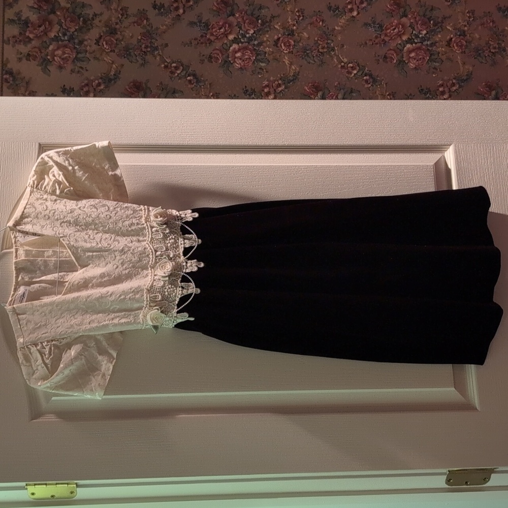 A Cream Brocade Bodice And A Burgundy Velvet Bottom With Embroidered Lace Roses